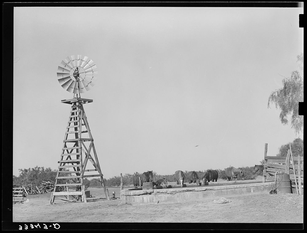 Windmill and watering trough on SMS Ranch near Spur, Texas by Russell Lee