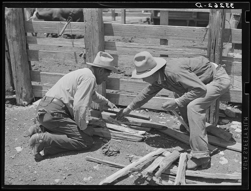 Mexican cowboys building the fire to heat the branding irons. Cattle ranch near Marfa, Texas by Russell Lee