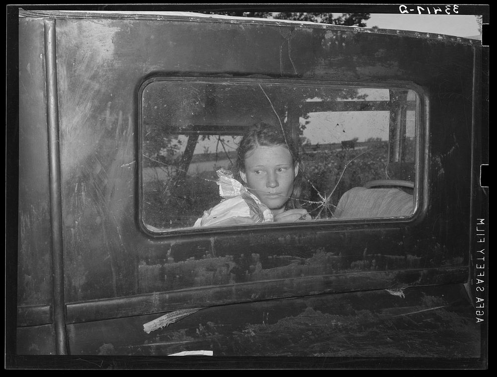 Migrant worker looking through back window of automobile near Prague, Oklahoma. Lincoln County, Oklahoma by Russell Lee