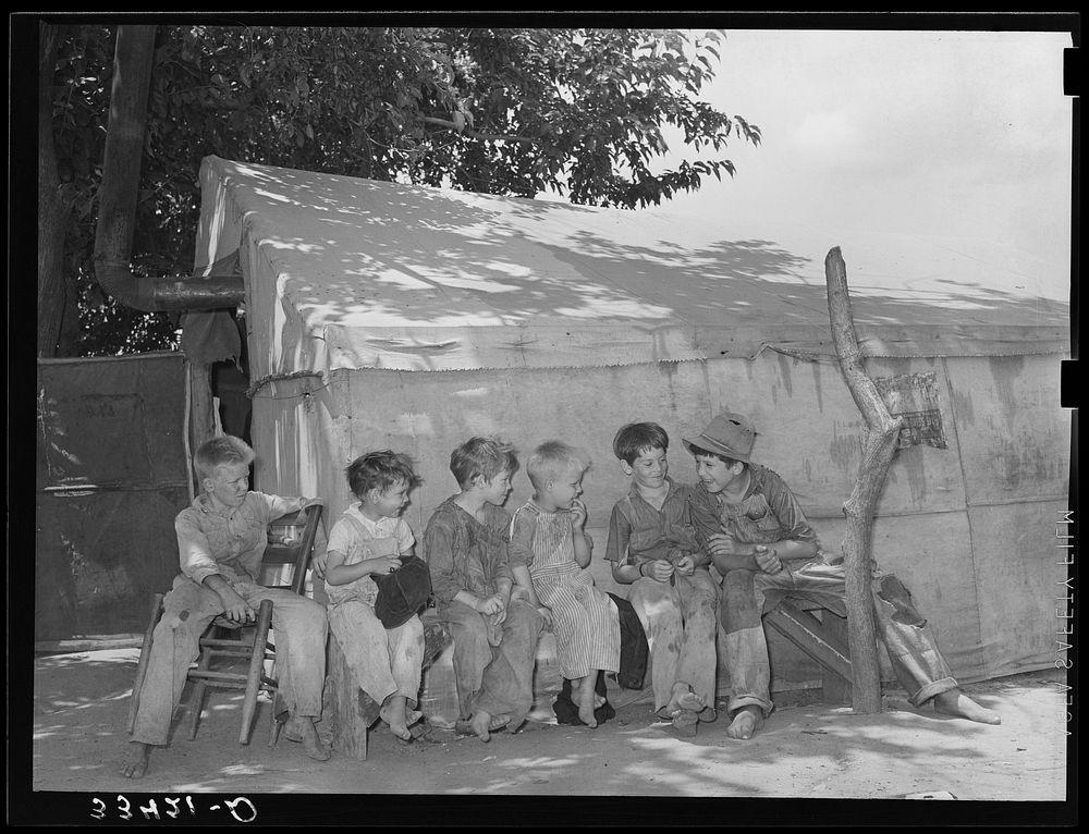 Sons of day laborers. Some of their fathers were agricultural workers and some were dispossessed tenant farmers now on WPA…