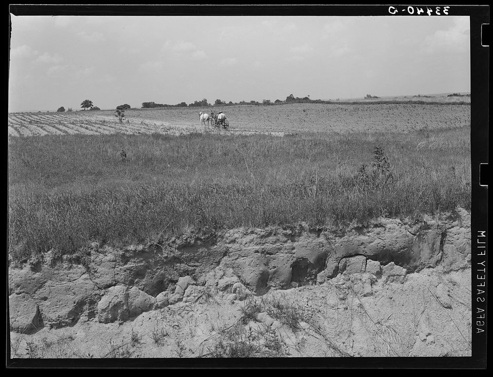 [Untitled photo, possibly related to: Landscape in Oklahoma showing man plowing in cotton field in background and profile of…
