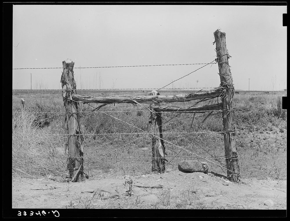 Corner post fence construction near Balmorhea, Texas by Russell Lee