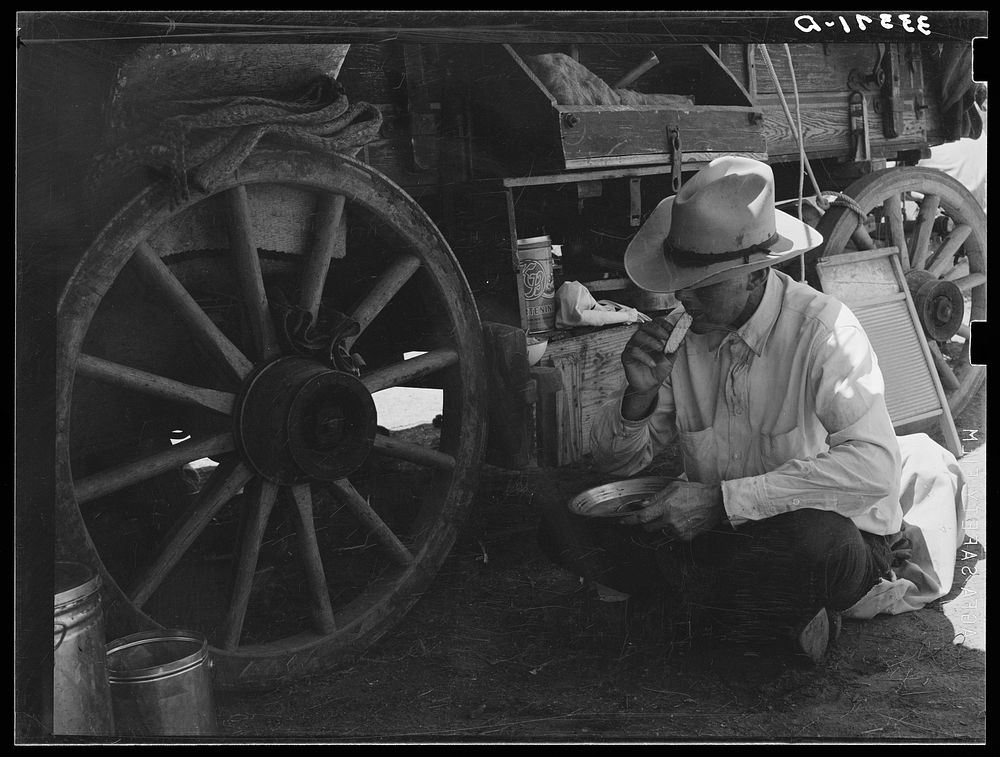 [Untitled photo, possibly related to: Cowboy eating dinner by the chuck wagon on SMS Ranch near Spur] by Russell Lee