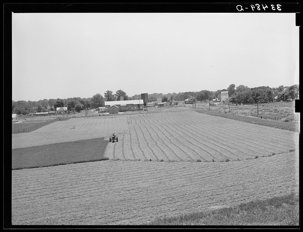 [Untitled photo, possibly related to: Cutting field of alfalfa with tractor-drawn equipment near Prague, Oklahoma] by…