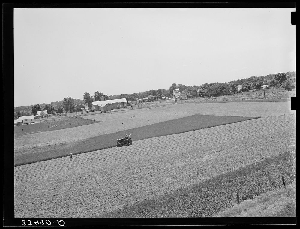 [Untitled photo, possibly related to: Cutting field of alfalfa with tractor-drawn equipment near Prague, Oklahoma] by…