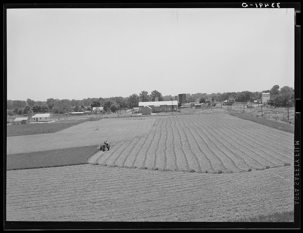 Cutting field of alfalfa with tractor-drawn equipment near Prague, Oklahoma by Russell Lee