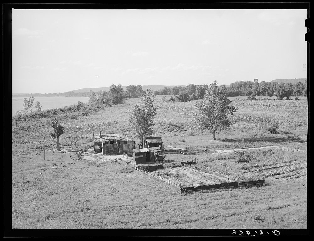 [Untitled photo, possibly related to: Scene along the Arkansas River bottom at Webbers Falls. Muskogee County, Oklahoma] by…
