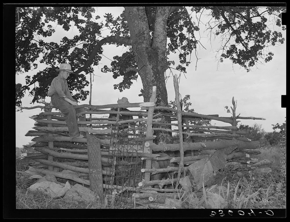 Primitive hog pen built by itinerant statue maker and day laborer camped on Poteau Creek near Spiro, Oklahoma. Sequoyah…