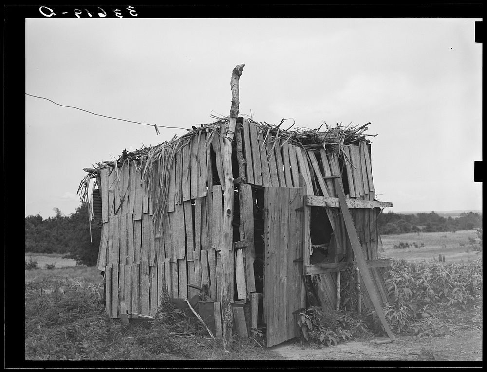 Chicken shed of tenant farmer in Wagoner County, Oklahoma by Russell Lee