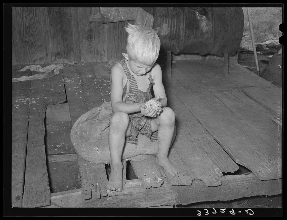 Son of agricultural day laborer examining cotton seed on front porch of home. Muskogee County, Oklahoma by Russell Lee