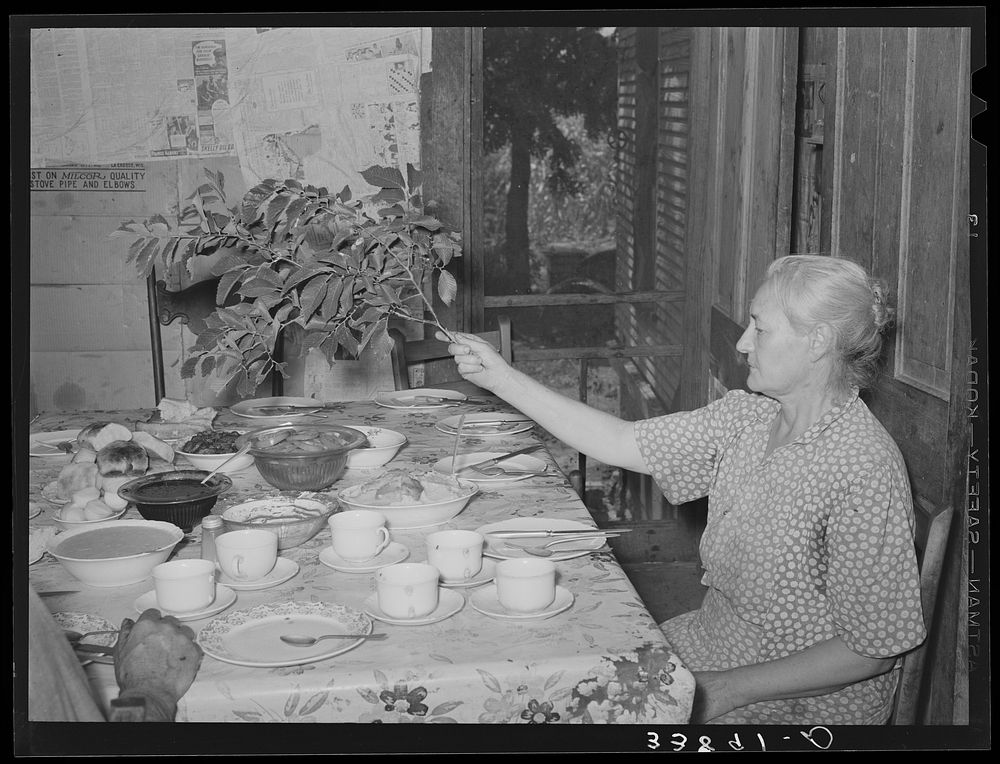 Family of tenant farmer at noonday meal near Muskogee, Oklahoma. His wife is shooing away flies with branch. See general…