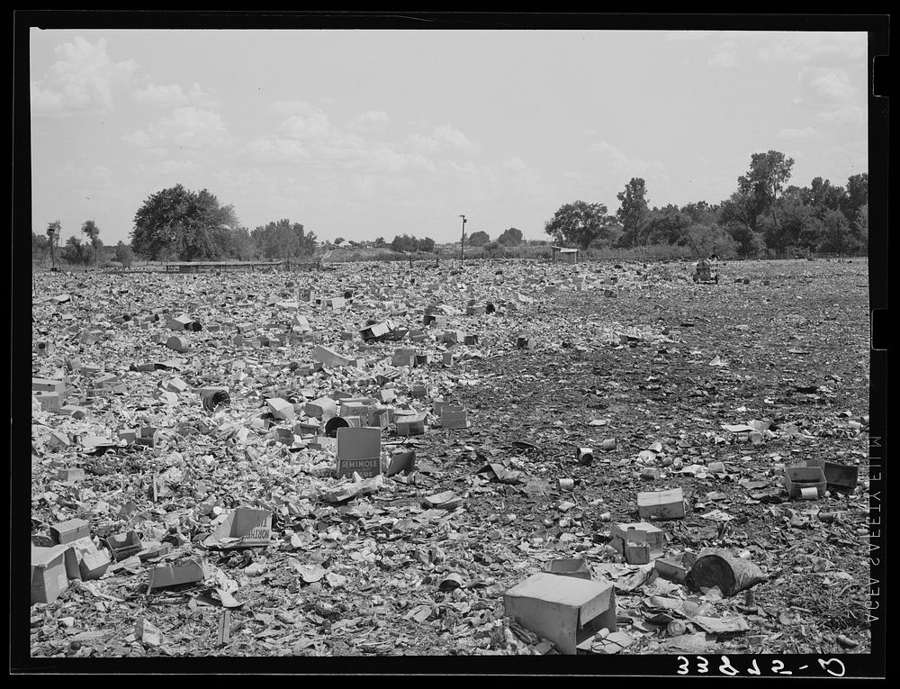 [Untitled photo, possibly related to Free Photo rawpixel