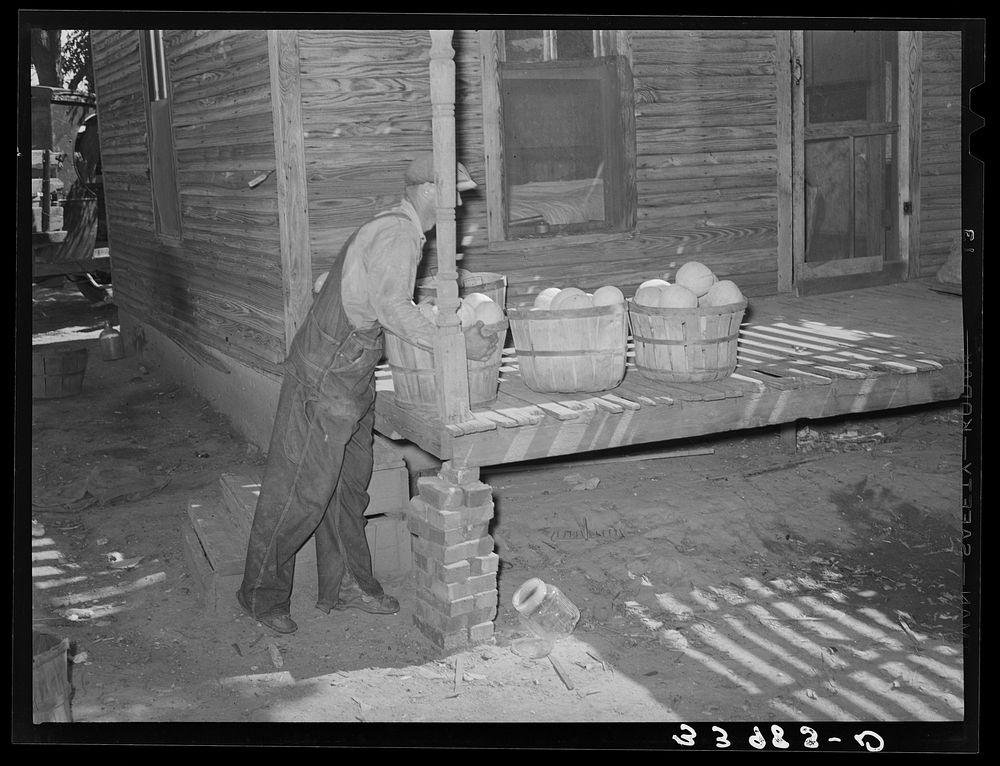 Man putting baskets of fruit on a porch. Muskogee, Oklahoma by Russell Lee