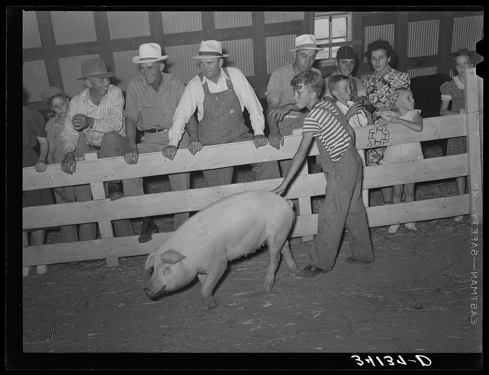 Scene at 4-H show and fair at Sublette, Kansas by Russell Lee