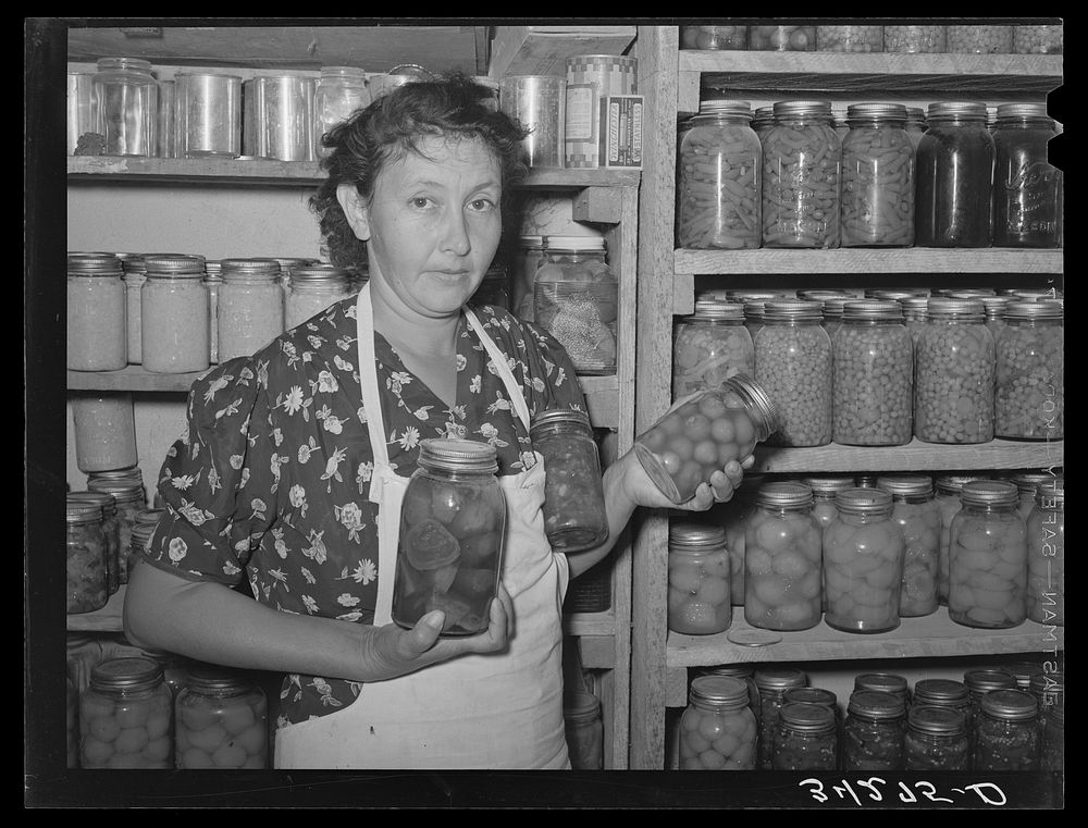 Vegetables and fruits canned by FSA (Farm Security Administration) client near Taos, New Mexico by Russell Lee
