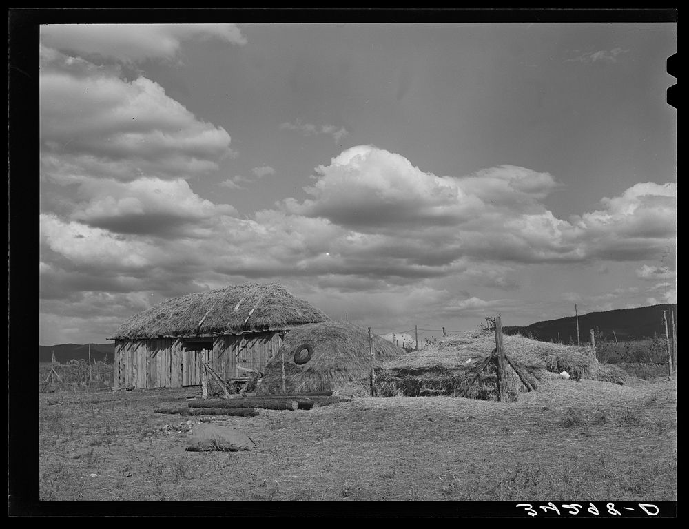 Barn covered with hay and haystacks near Taos, New Mexico by Russell Lee