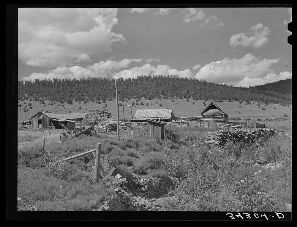 Spanish-American farm at Holman, New Mexico by Russell Lee