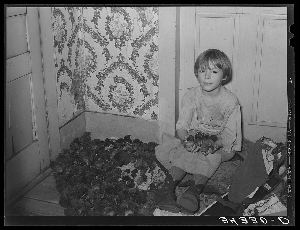Daughter of FSA (Farm Security Administration) client with butter nuts, Farm near Bradford, Vermont. Orange County by…