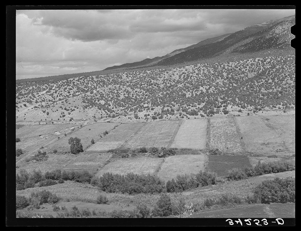 Scene on strip farms along the Rio Hondo near Taos, New Mexico. This land was originally Spanish land grants and has been…