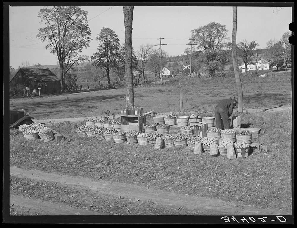 [Untitled photo, possibly related to: Roadside stand near Bennington, Vermont] by Russell Lee