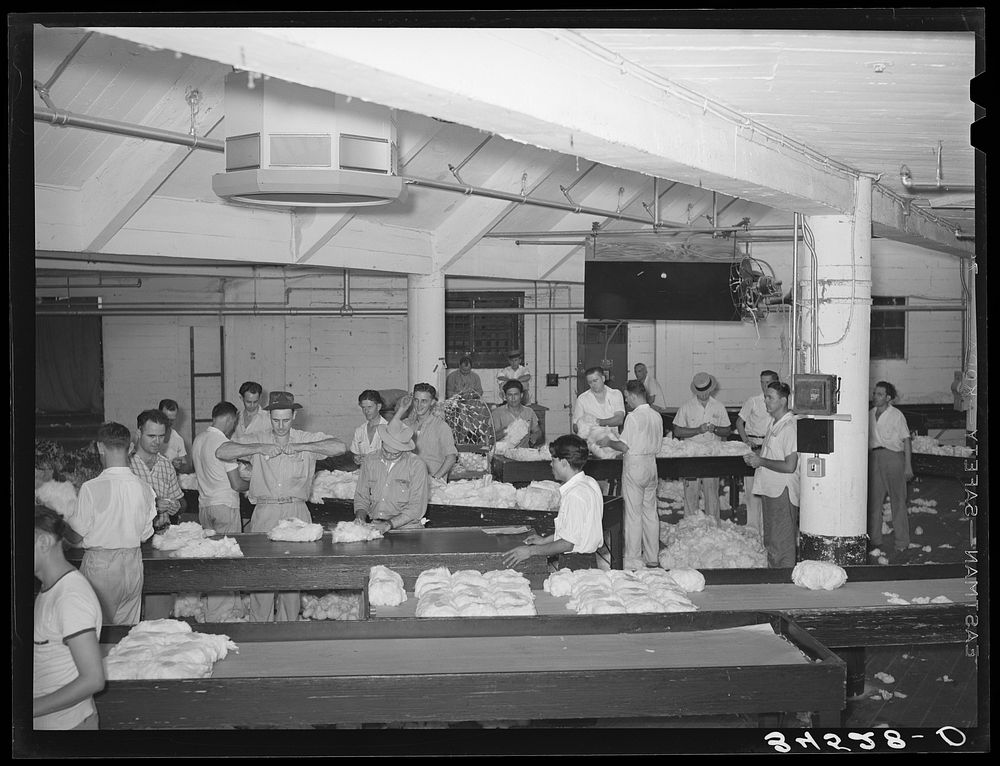 Sampling room, cotton compress, part of compress. Port of Houston, Texas by Russell Lee