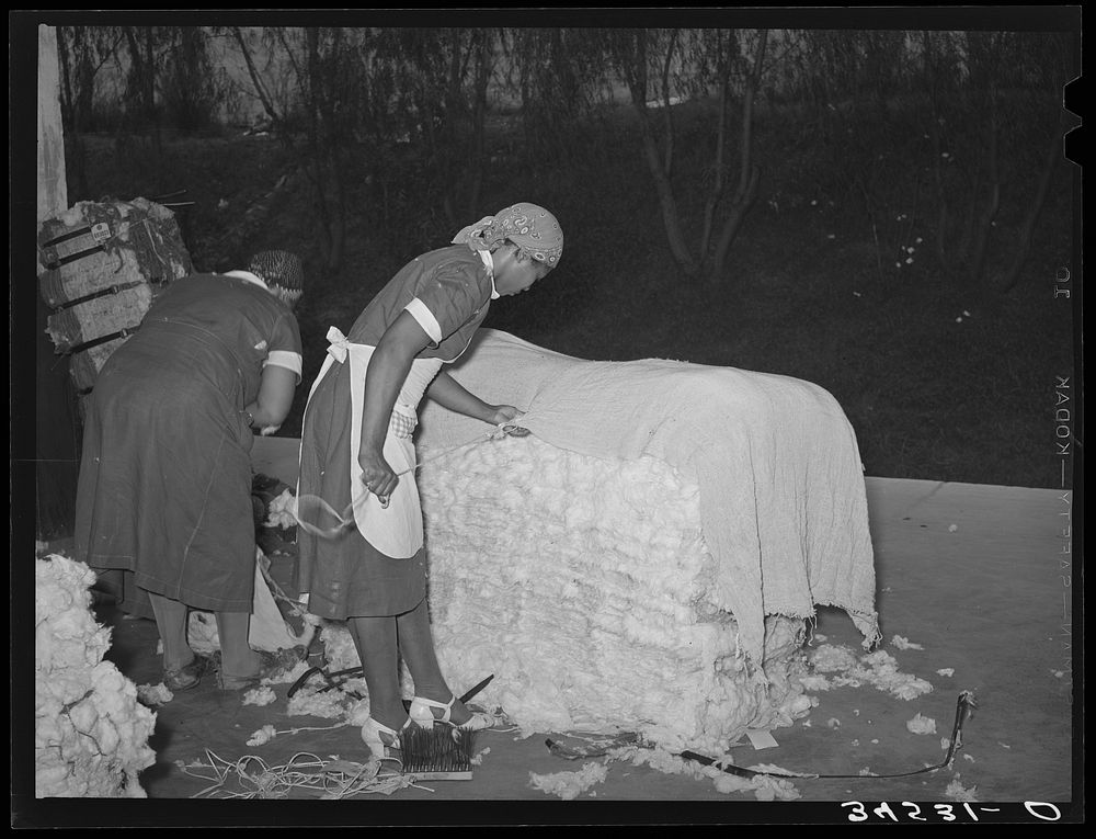  women cleaning up damaged bales of cotton. Compress, Houston, Texas by Russell Lee