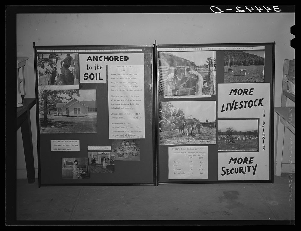 FSA (Farm Security Administration) exhibit at state fair. Dallas, Texas by Russell Lee