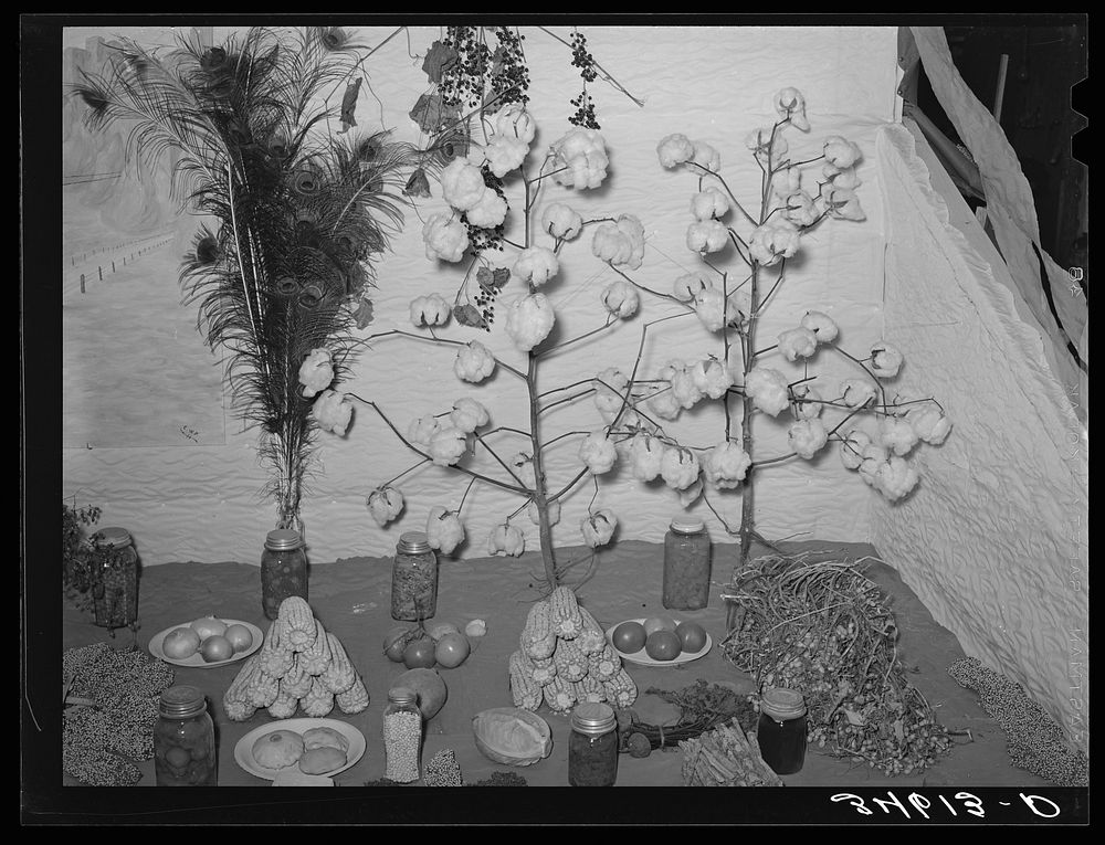 [Untitled photo, possibly related to: Exhibits of agricultural products at Gonzales County Fair. Gonzales, Texas] by Russell…