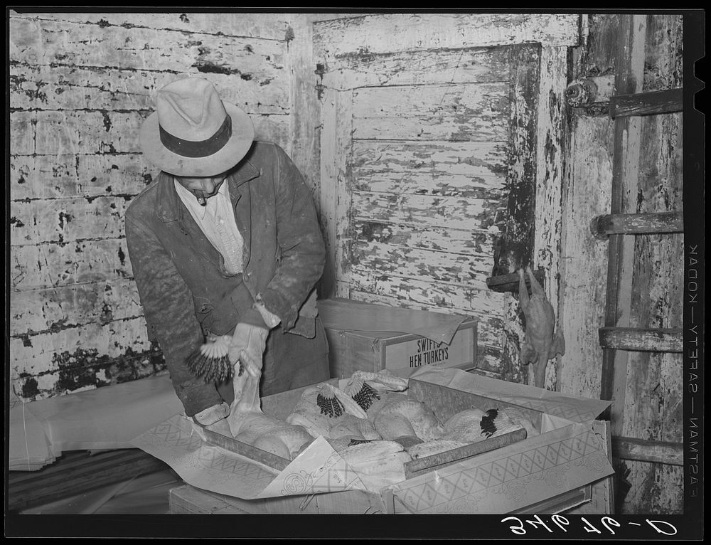 Packing turkeys into boxes for shipping. Cold storage plant, Brownwood, Texas by Russell Lee