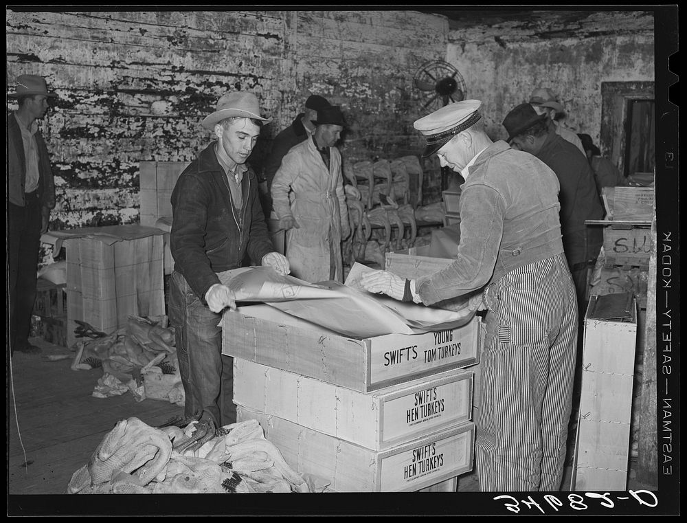 Lining boxes with paper before packing with turkeys. Cold storage plant, Brownwood, Texas by Russell Lee