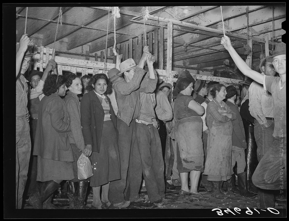 Turkey pickers waiting for work to start. Cooperative poultry plant, Brownwood, Texas by Russell Lee