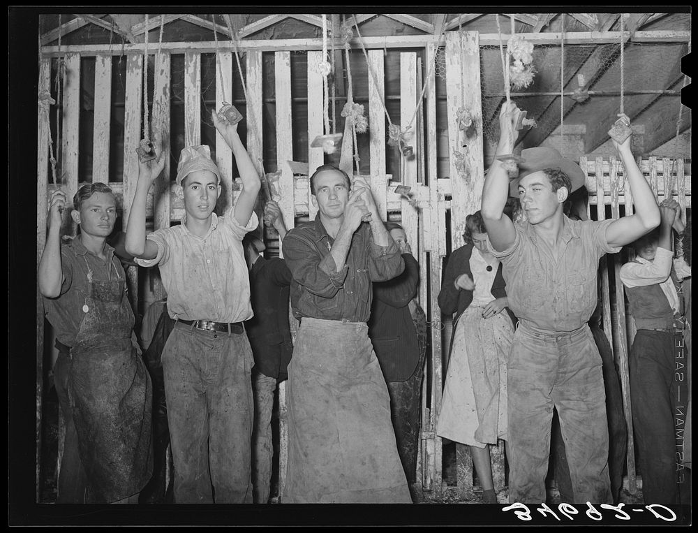[Untitled photo, possibly related to: Turkey pickers waiting for work to start. Cooperative poutry plant, Brownwood, Texas]…