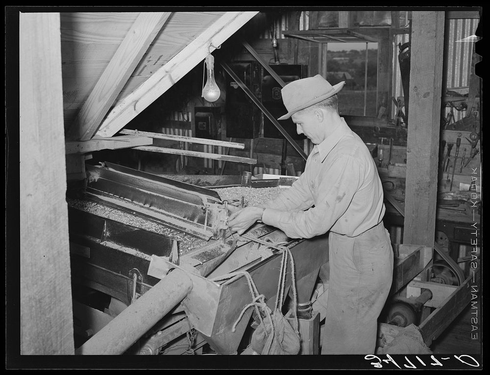 Adjusting peanut grader. Peanut-shelling plant. Comanche, Texas by Russell Lee