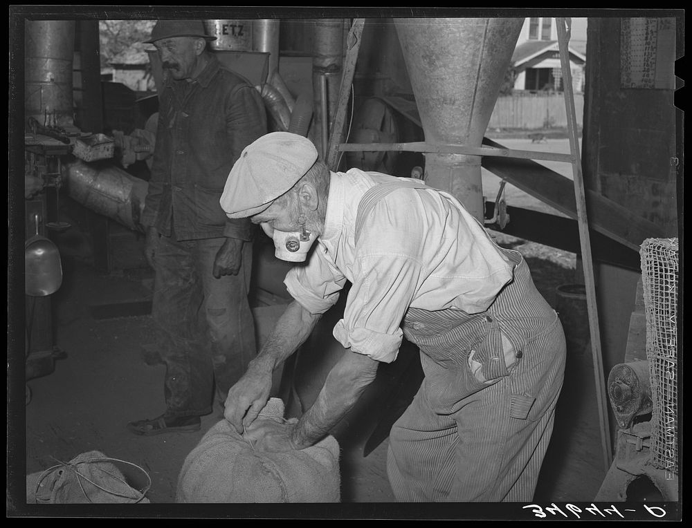[Untitled photo, possibly related to: Worker in feed mill taking up an armload of fodder which will be ground for feed.…