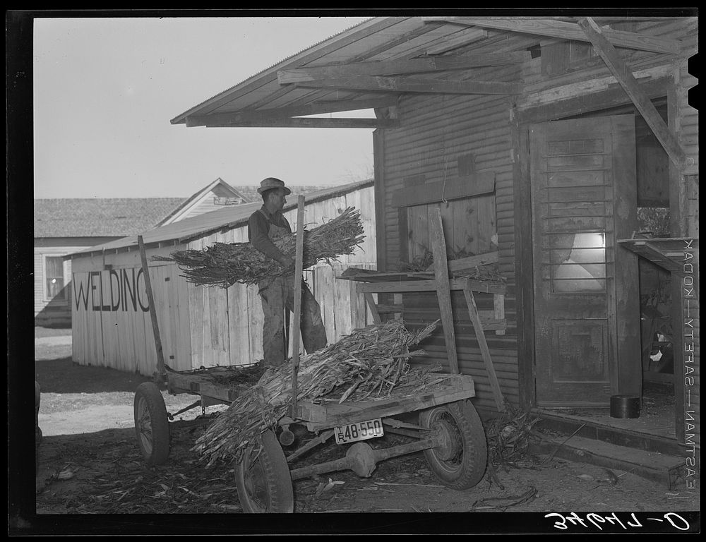 Farmer unloading a trailer of corn at feed mill. Taylor, Texas by Russell Lee