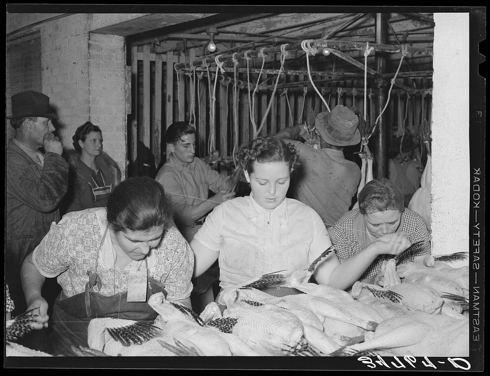 Sewing up dressed turkeys. Cooperative poultry house, Brownwood, Texas by Russell Lee