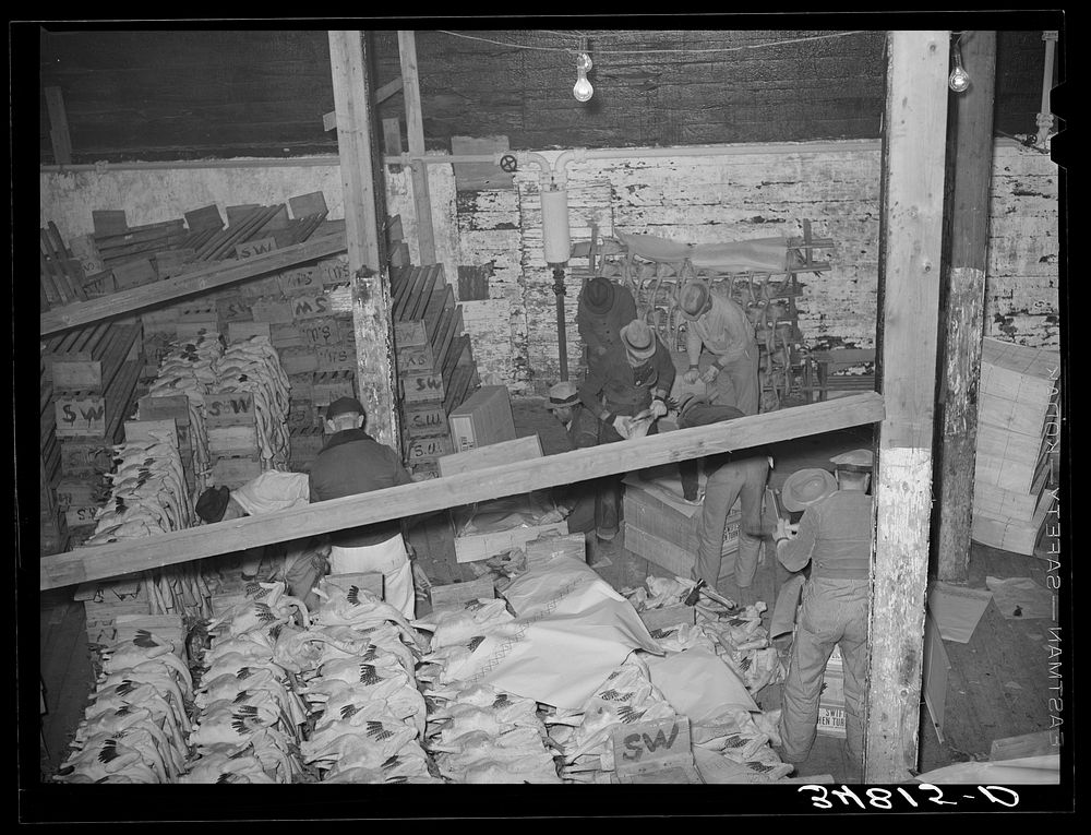 Turkey packing room at cold storage plant. Brownwood, Texas by Russell Lee