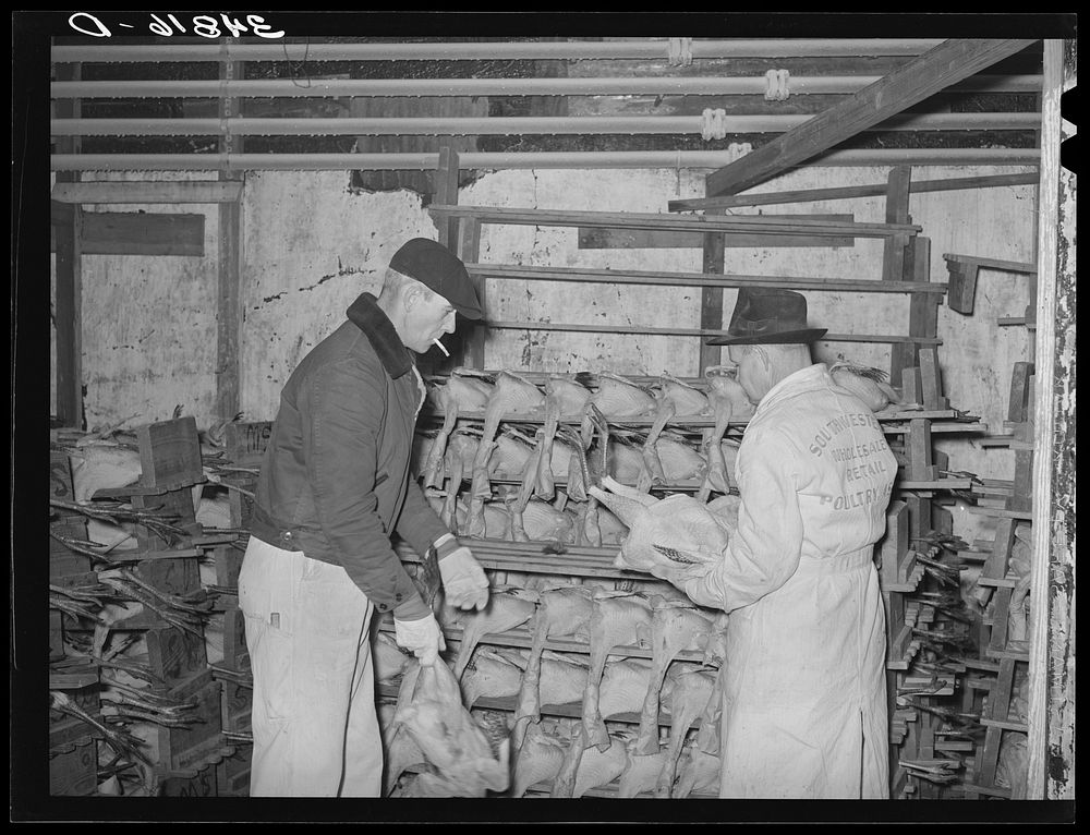 Selecting turkeys at cold storage plant. Brownwood, Texas by Russell Lee