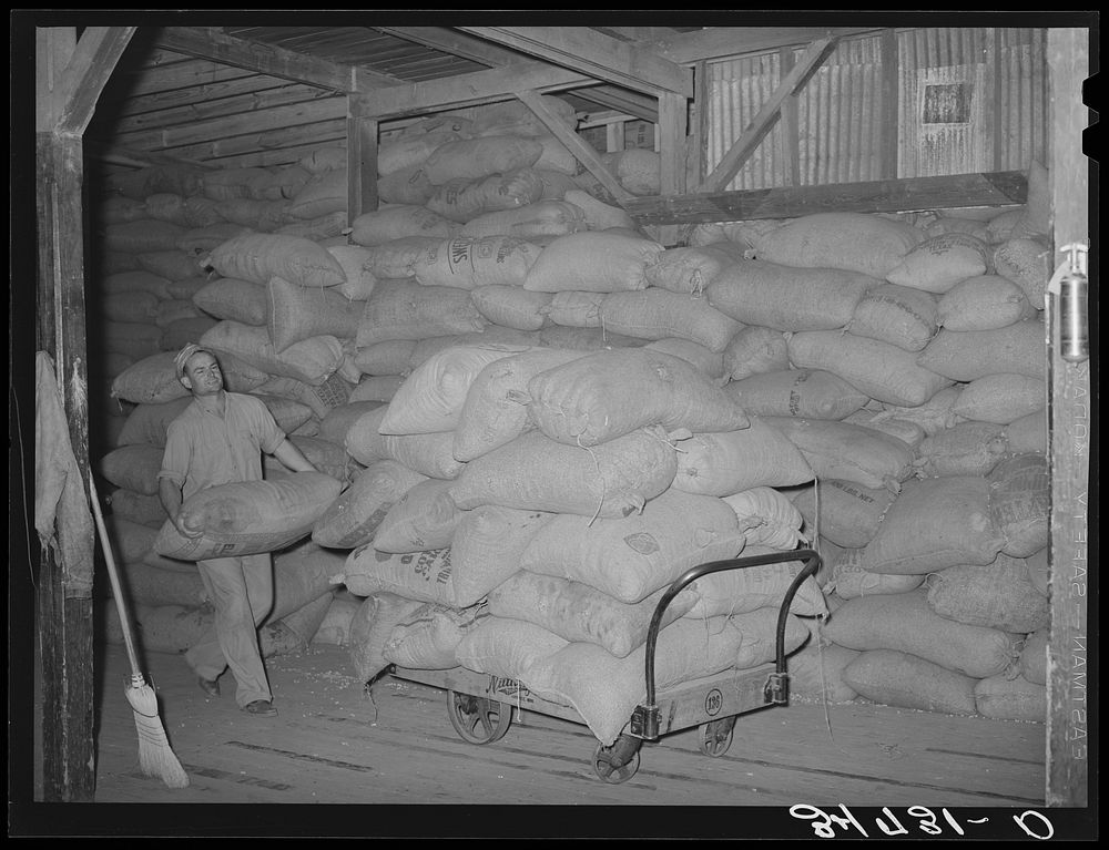 Loading truck with peanut shell feed. Peanut-shelling plant. Comanche, Texas by Russell Lee