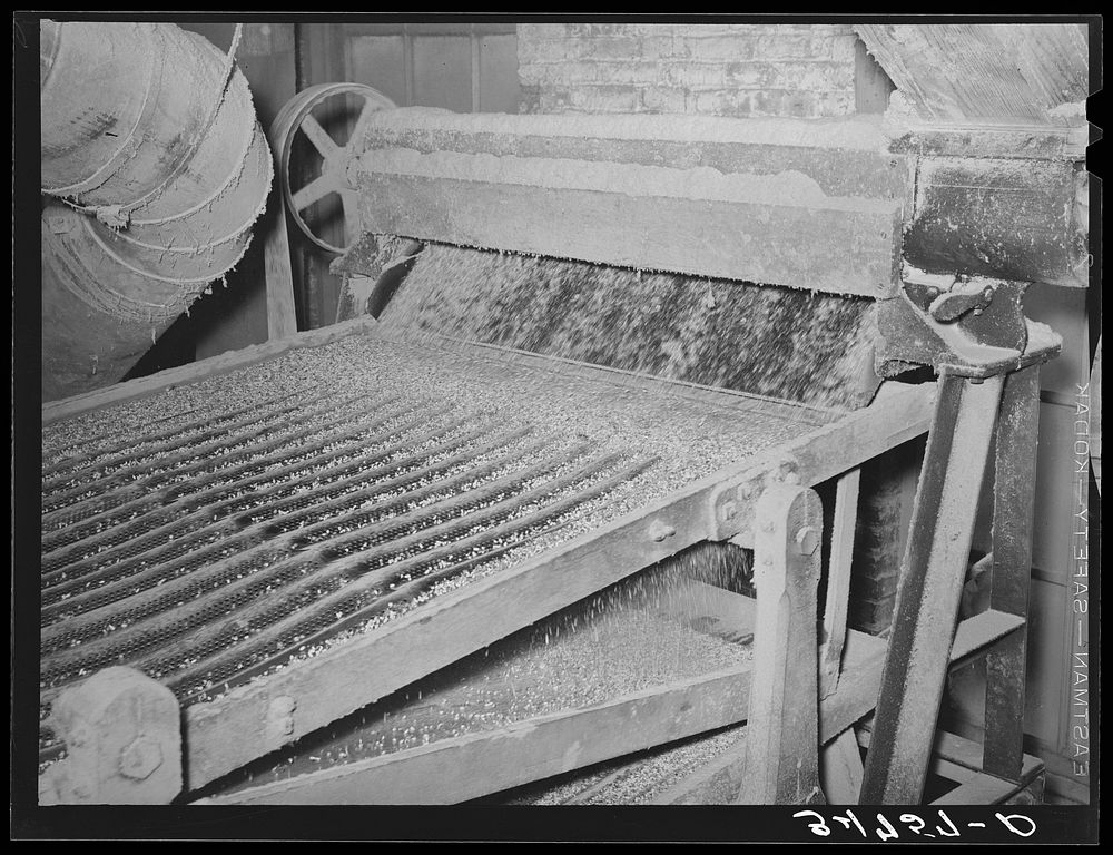 The cleaning of the linters from seed is accomplished in several stages. This screening machine separates the cotton seed…