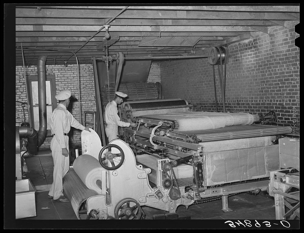 Formation of cotton bat for stuffing mattresses. Mattress factory. San Angelo, Texas. This bat is usually made from cotton…