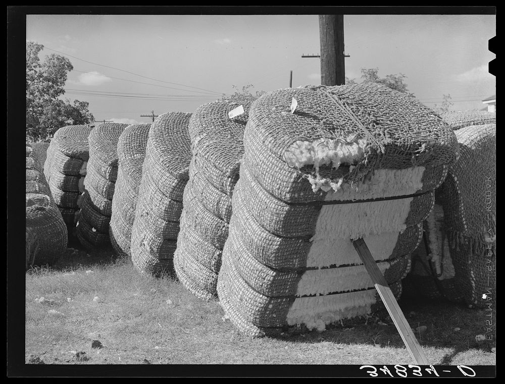Bales of cotton in gin yard. West, Texas by Russell Lee