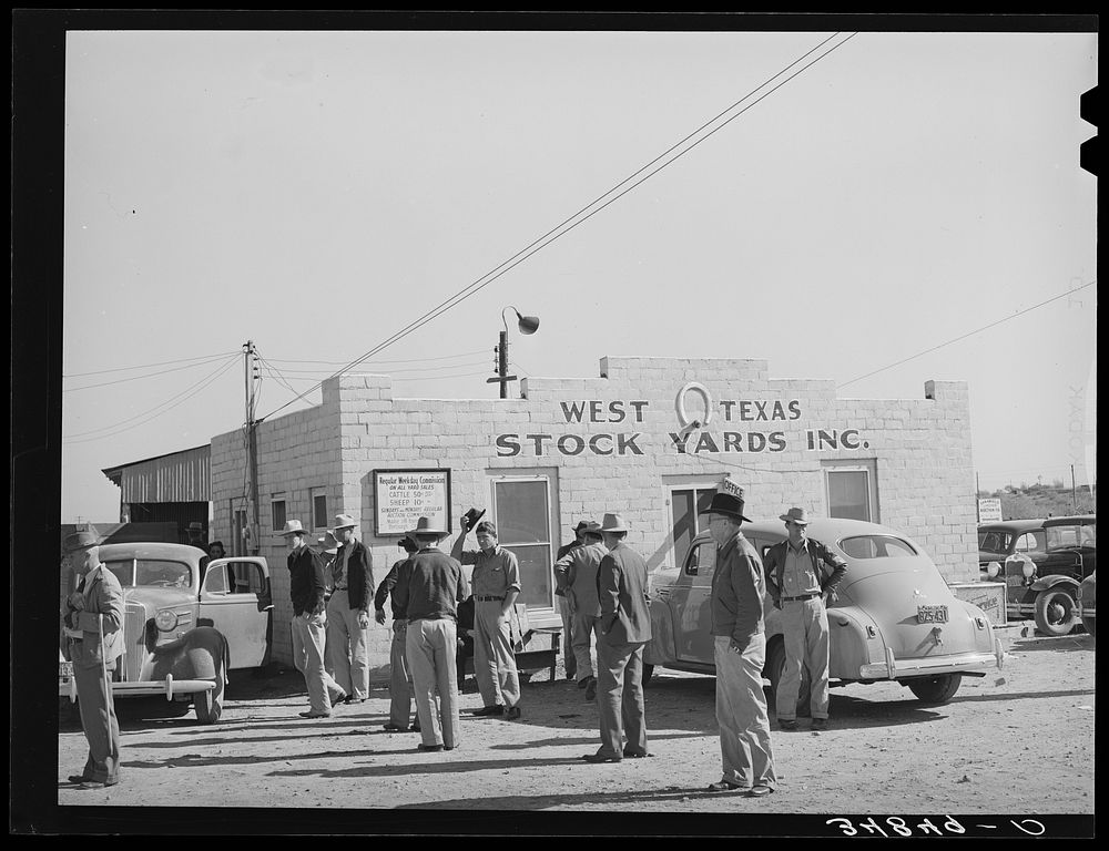 Office of west Texas stockyards on auction day. San Angelo, Texas by Russell Lee