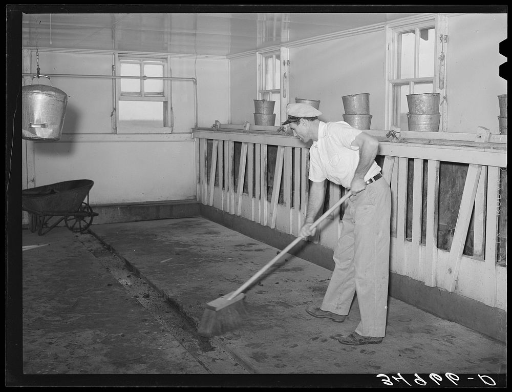 Floor of milking house is swept between each group of cows milked. Large dairy, Tom Green County, Texas by Russell Lee