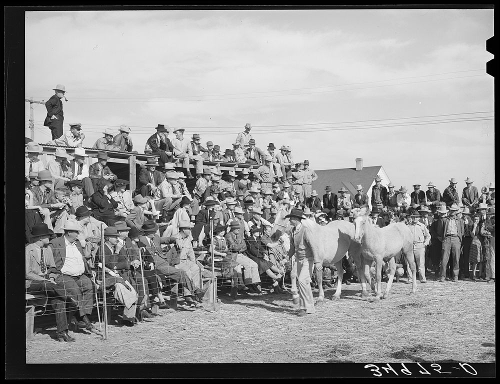 Crowd at horse auction. El Dorado, Texas by Russell Lee