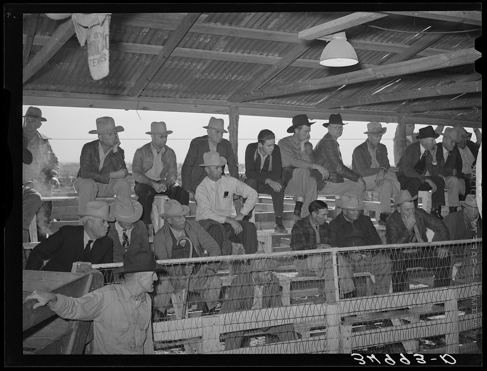 Spectators and buyers at livestock auction. San Angelo, Texas by Russell Lee