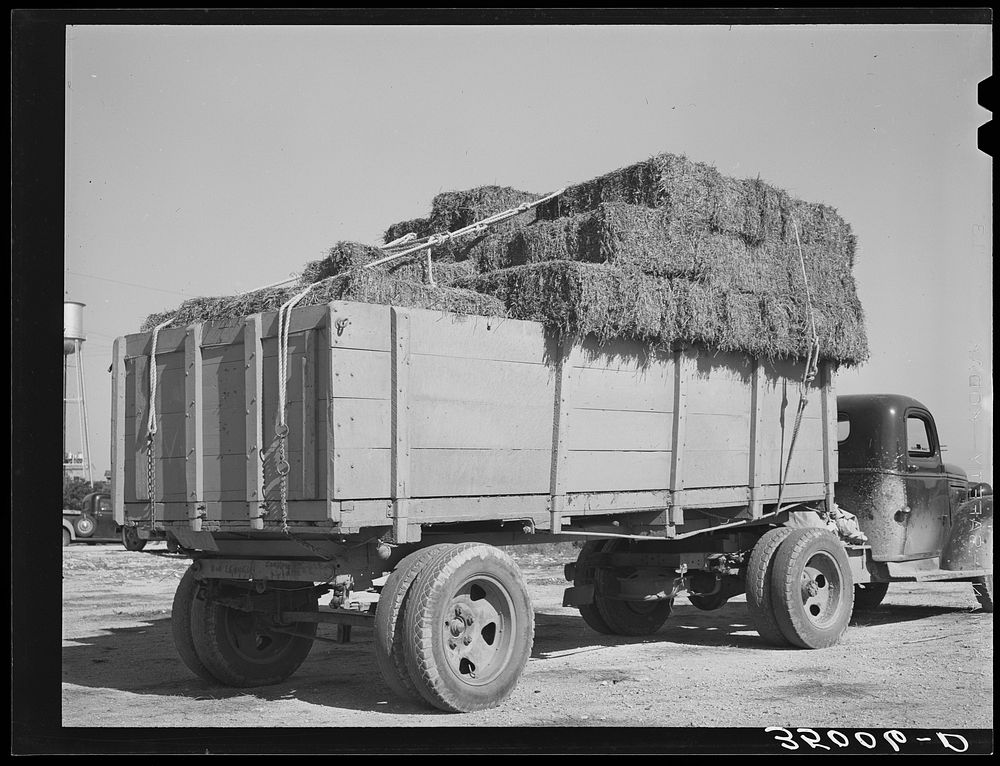 Truckload of hay at livestock auction. San Angelo, Texas by Russell Lee