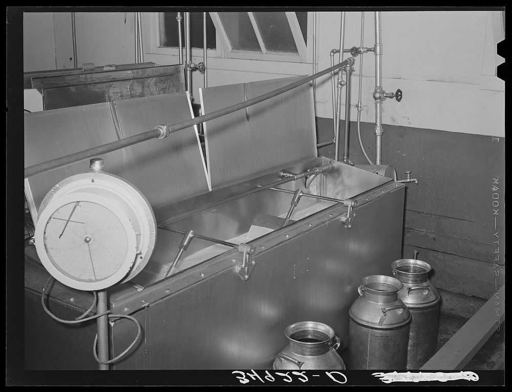 Pasteurizing milk. Creamery, San Angelo, Texas by Russell Lee