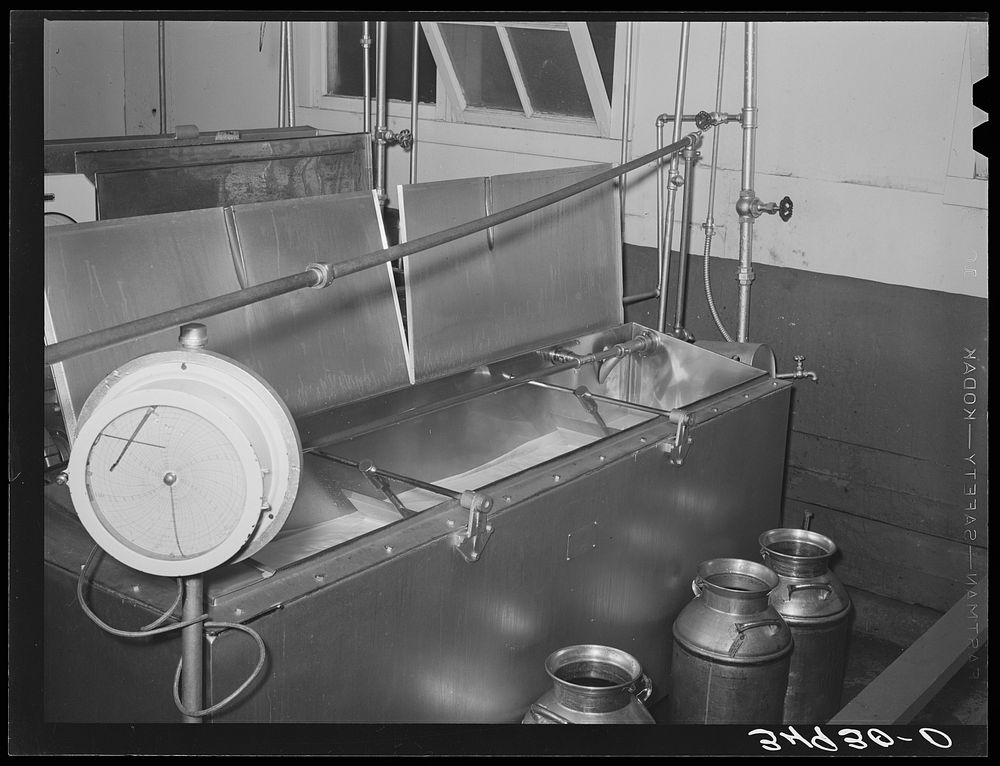 [Untitled photo, possibly related to: Pasteurizing milk. Creamery, San Angelo, Texas] by Russell Lee