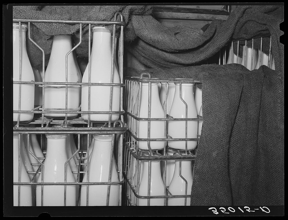 Milk rear farmer's automobile. dampened Free Photo rawpixel